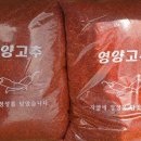 신선농산