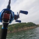 디아이플렉스 이미지