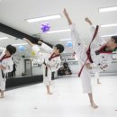 푸른태권도 이미지