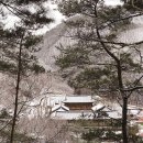 슬기로운 초록생활