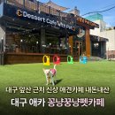 금오산로(대3-7) | 대구 앞산 애견카페 꽁냥꿍냥펫카페 내돈내산 방문후기 대구애카추천