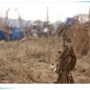 찬빈농장 이미지