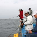 참돔 루어 낚시 - 타이라바 . 인치쿠 기법 으로 대물사냥~ 이미지