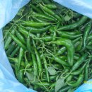 시흥1동주민센터 이미지