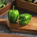 피망 이미지