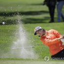 스윙잉서울