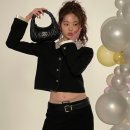 현애견미용실 이미지