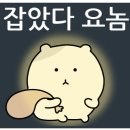 게임광장 이미지