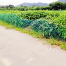 우정읍사무소 1 이미지