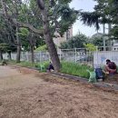 세림종합관리