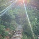 사과향기 | [밀양/얼음골] 밀양 얼음골 계곡 캠핑장 내돈내산 추천 “사과향기 캠핑장”/ 단독사이트 1번사이트 후기