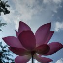 계림정야영장 이미지