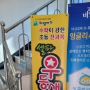 삼어초등학교 이미지