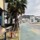 153군장점 | [올레길 7코스] 친구와 함께 걸은길, 가장 아름다운 올레(난이도/스탬프/소요시간)