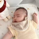 임산부 칼슘 마그네슘 칼마디케이 수유부 찐 후기