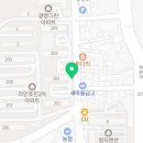 탑피자방림점 네이버블로그