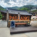스테이 팔랑 네이버블로그
