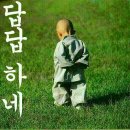 어디메