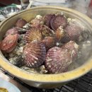 돼지네수산 | 보령 천북굴단지 돼지네굴수산 굴찜 배부르게 먹고 온 후기(+낙지탕탕이, 굴전)