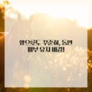 로데오피부과 네이버블로그