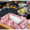 고마워돼지 이미지