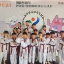 큰나무태권도장 네이버블로그