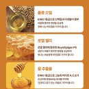 돌콩헤어