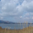 내동~사내호 이미지