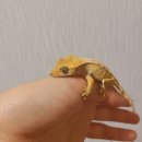 아침을 여는 한의원 이미지