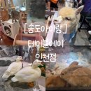 이쁜멍멍이 | [송도아이랑]&#39;테이블에이 앤 로우캣&#39; 아이랑 실내 동물원, 키즈카페 데이트 후기