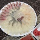 풍어횟집 | 울산 농수산물도매시장 맛집 봄 도다리와 싱싱한 횟감이 가득한 풍어수산 횟집 후기