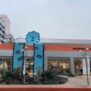 디오디너리샵