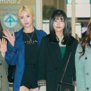 다이아윈도 이미지