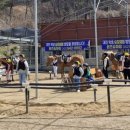 퀸즈승마장 이미지