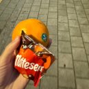 다래실천 | [공지] 11월 첫째주)우리는 우리의 사랑을 남에게 빌지 않기로 했지