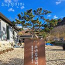 소나무민박 이미지