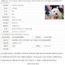 러브펫종합동물병원 이미지