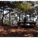 약골자전거도로 이미지