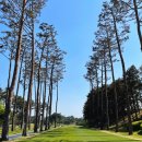 솔모로골프장 이미지