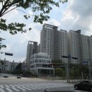 성복2로 이미지