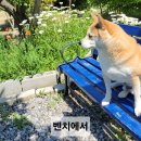 즐거운 농장 이미지