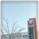 김대중컨벤션센터 Daum카페