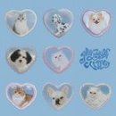 개와고양이 이미지