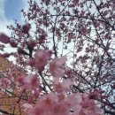 한국교원대 교육연구관 이미지