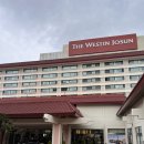 성보헬스클럽 | 웨스틴조선호텔 부산 | 리뉴얼룸 호캉스, 데이타임 해피아워 까밀리아 조식 사우나 수영장 후기