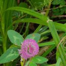 구인당약국 이미지