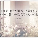 항구로 티스토리
