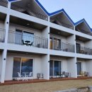 새재리아 이미지