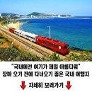 6월의 자연을 느낄 수 있는 국내 여행지 이미지