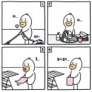 봉순이바지락칼국수
